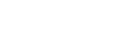 LiteYear